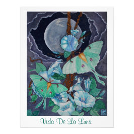 Foto Vida de la luna