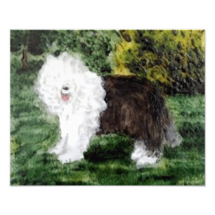 Foto Viejo arte inglés del perro pastor