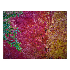 Foto "Vigor natural"