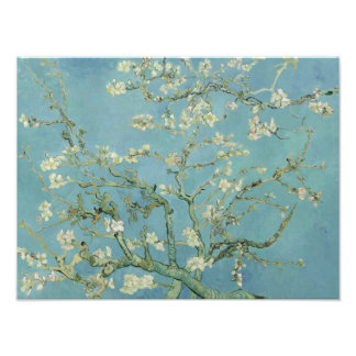 Foto Vincent van Gogh - Almond Blossom