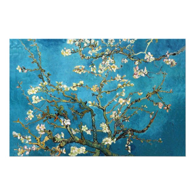 Foto Vincent van Gogh, Arbol de almendros floreciente.  (Frente)