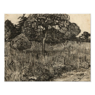 Foto Vincent van Gogh - Árbol lloroso