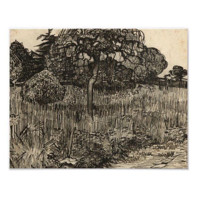 Foto Vincent van Gogh - Árbol lloroso (Frente)