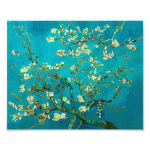 Foto Vincent Van Gogh Blossoming Almond Tree Floral Art