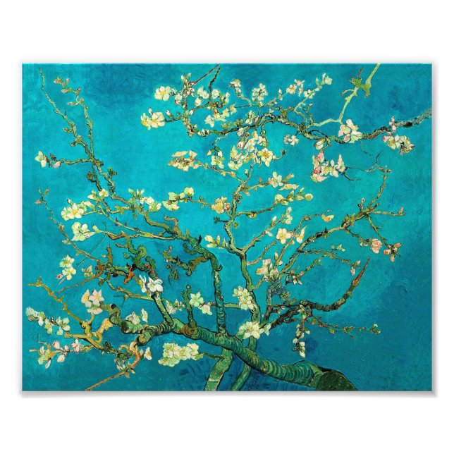 Foto Vincent Van Gogh Blossoming Almond Tree Floral Art (Frente)
