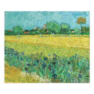 Foto Vincent van Gogh - Campo con lirios cerca de Arlés