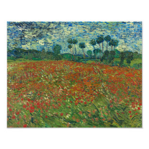 Foto Vincent van Gogh - Campo de amapola