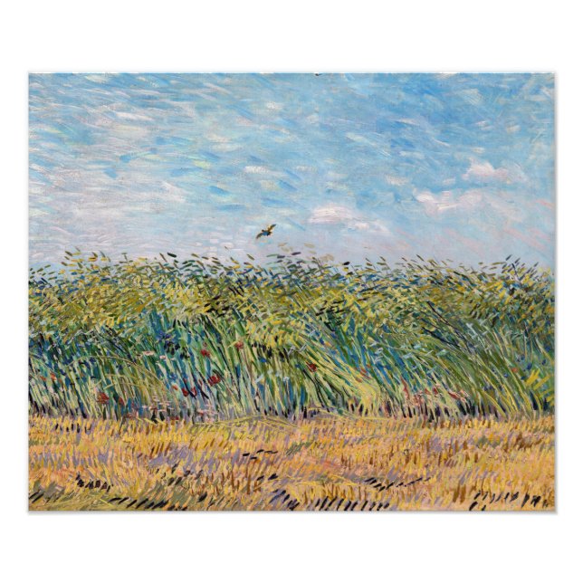 Foto Vincent van Gogh - Campo de Trigo con un Lark (Frente)