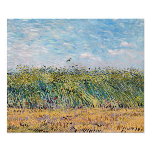 Foto Vincent van Gogh - Campo de trigo con una alondra