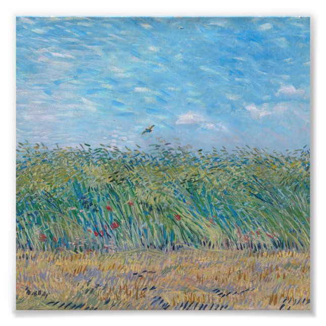 Foto Vincent Van Gogh - Campo de trigo con una larva (Frente)