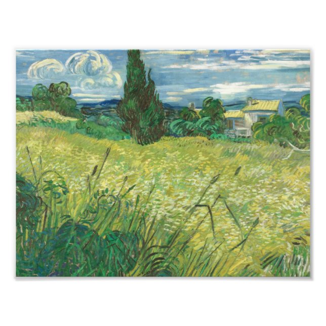 Foto Vincent van Gogh - Campo verde (Frente)