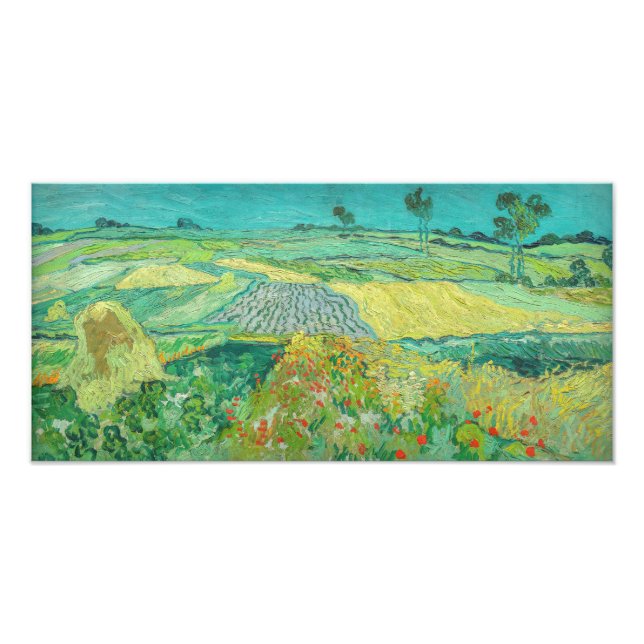 Foto Vincent van Gogh - Campos de Trigo cerca de Auvers (Frente)
