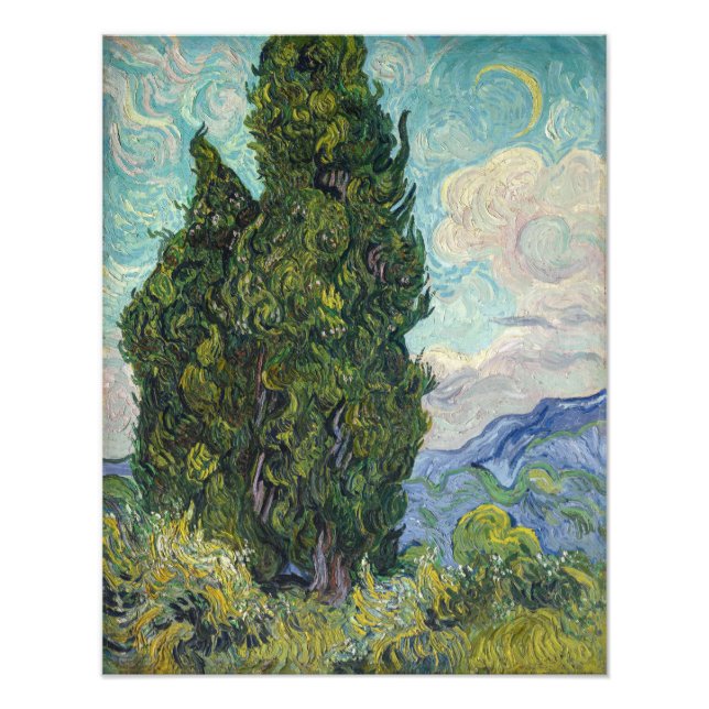 Foto Vincent van Gogh - Cipreses (Frente)