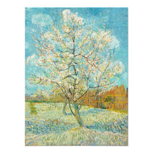 Foto Vincent van Gogh - Ciruelo Rosa en Flor