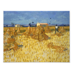 Foto Vincent van Gogh - Cosecha de maíz en Provenza