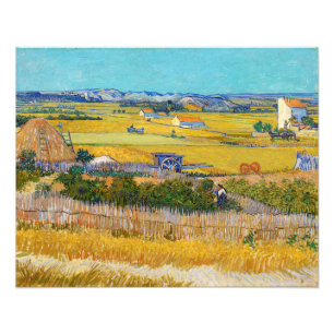 Foto Vincent van Gogh - Cosecha en La Crau