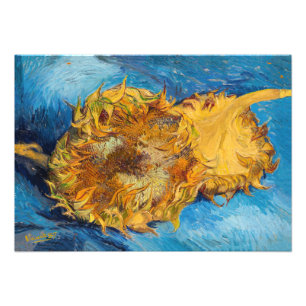 Foto Vincent van Gogh - Dos girasoles cortados