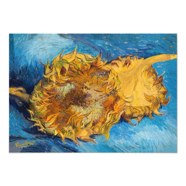 Foto Vincent van Gogh - Dos girasoles cortados (Frente)