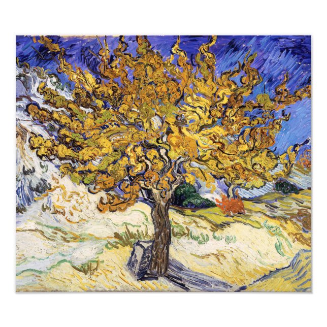 Foto Vincent van Gogh - El árbol de las moras (Frente)