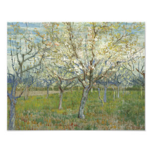 Foto Vincent van Gogh - El huerto rosado