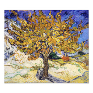 Foto Vincent van Gogh - El Moral