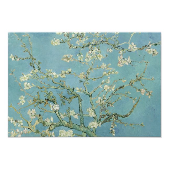 Foto Vincent van Gogh - Flor de almendro (Frente)