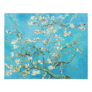 Foto Vincent van Gogh - Flor de Almendro