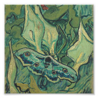 Vincent Van Gogh - Gran Moth de pavo real