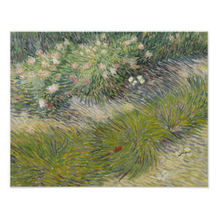 Foto Vincent van Gogh - Grass and Butterflies