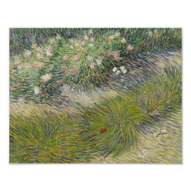 Foto Vincent van Gogh - Grass and Butterflies (Frente)