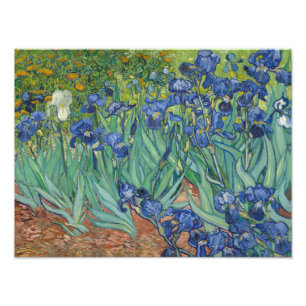 Foto Vincent van Gogh - iris