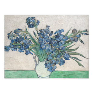 Foto Vincent van Gogh - Irises