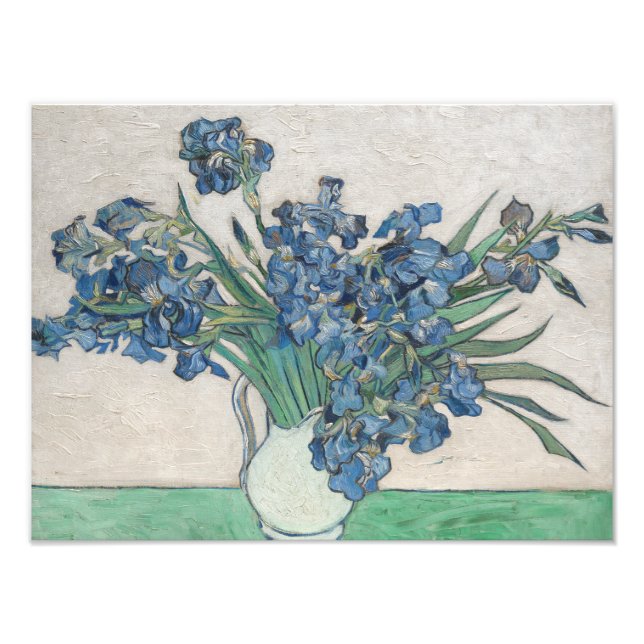 Foto Vincent van Gogh - Irises (Frente)