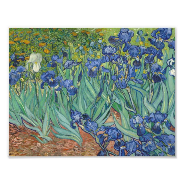 Foto Vincent van Gogh - Irises (Frente)