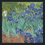 Foto Vincent Van Gogh - Irises<br><div class="desc">Vincent Van Gogh - Irises</div>
