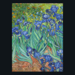 Foto Vincent Van Gogh - Irises<br><div class="desc">Vincent Van Gogh - Irises, 1889. Famoso cuadro de arte.</div>