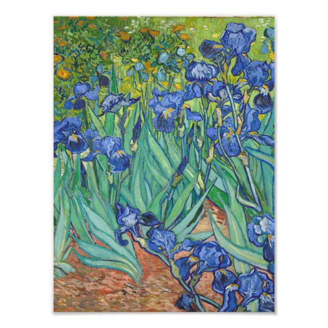 Foto Vincent Van Gogh - Irises (Frente)