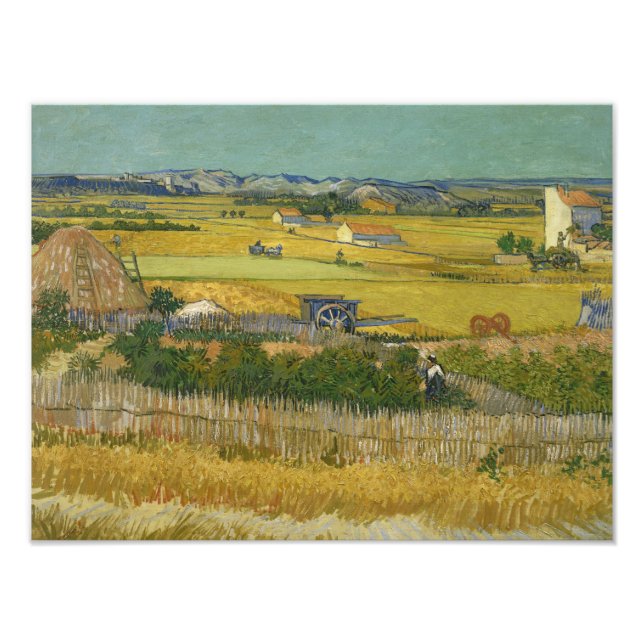 Foto Vincent van Gogh - La cosecha (Frente)