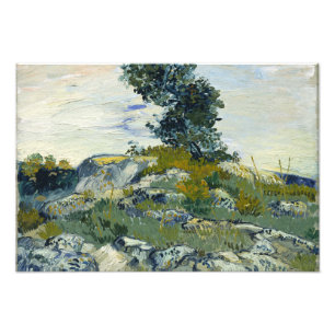 Foto Vincent van Gogh - las rocas