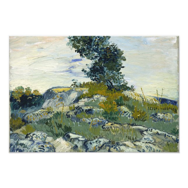Foto Vincent van Gogh - Las Rocas (Frente)