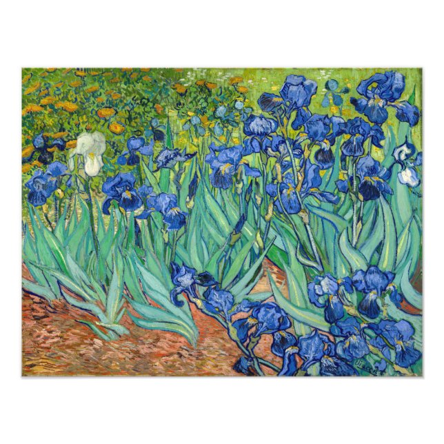 Foto Vincent Van Gogh - Lirios (Frente)