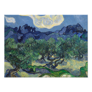 Foto Vincent van Gogh - Los Olivos