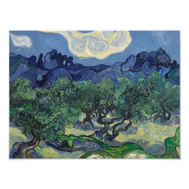 Foto Vincent van Gogh - Los Olivos (Frente)