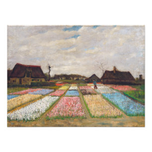 Foto Vincent van Gogh - Macizos de flores en Holanda