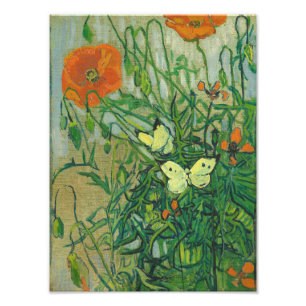 Foto Vincent Van Gogh - Mariposas y amapolas