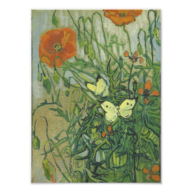 Foto Vincent Van Gogh - Mariposas y amapolas (Frente)