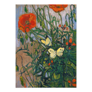 Foto Vincent van Gogh - Mariposas y Amapolas