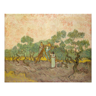 Foto Vincent van Gogh - Mujeres recogiendo aceitunas