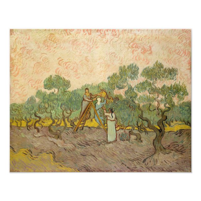 Foto Vincent van Gogh - Mujeres recolectando aceitunas (Frente)