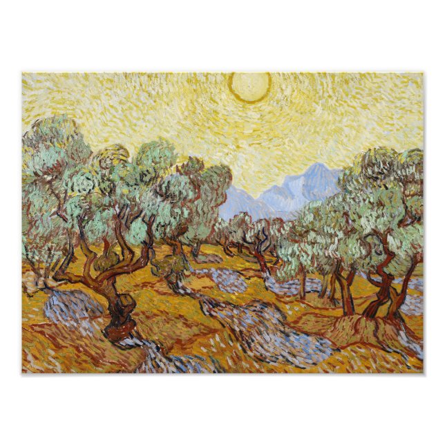 Foto Vincent van Gogh - Olivos (Frente)